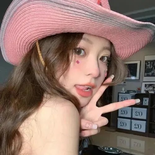 芙蓉女 海报