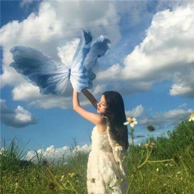 虎尾兰之梦 海报