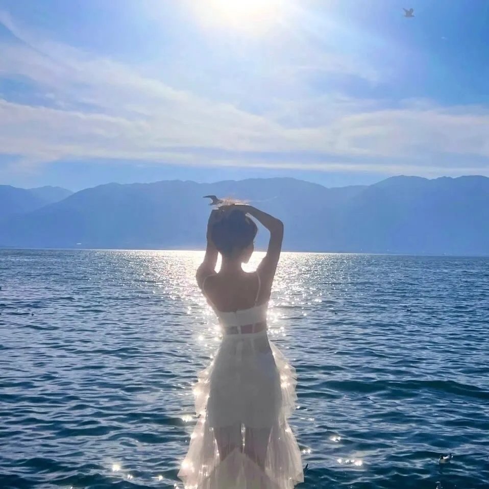 三只流浪猫 海报
